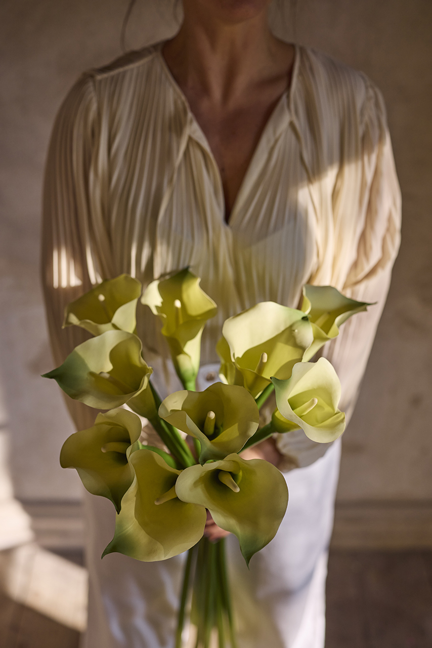 /images/imagebankSeasons/small/Mr Plant SS 2024/1858-90.jpg